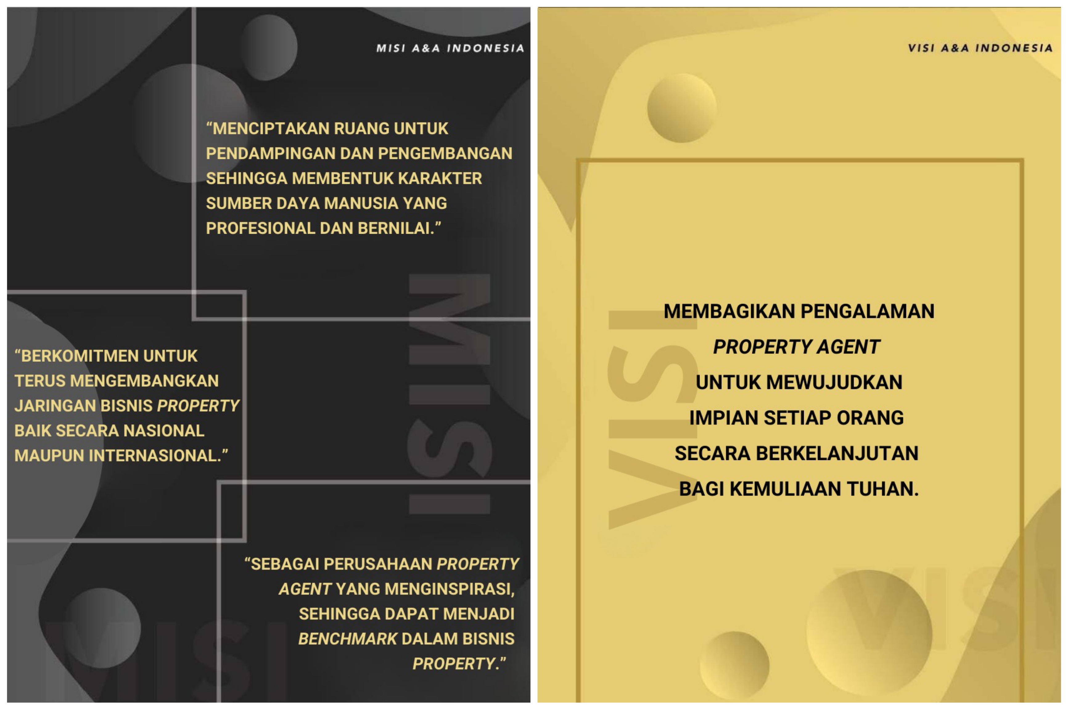 Visi